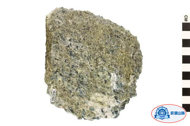 沉積巖和變質巖